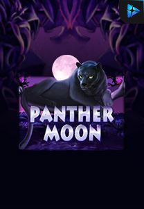 Bocoran RTP Panther Moon di TOTOLOKA88 Generator RTP SLOT 4D Terlengkap